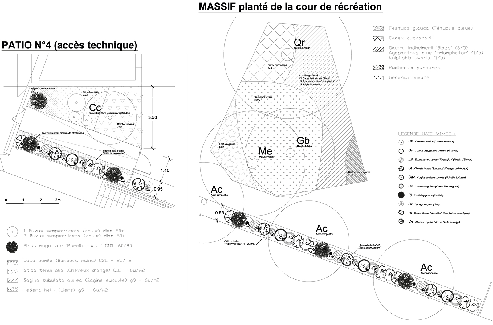 plan-plantation-cour-recreation